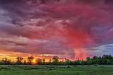 Sunrise Rain Shower_24657